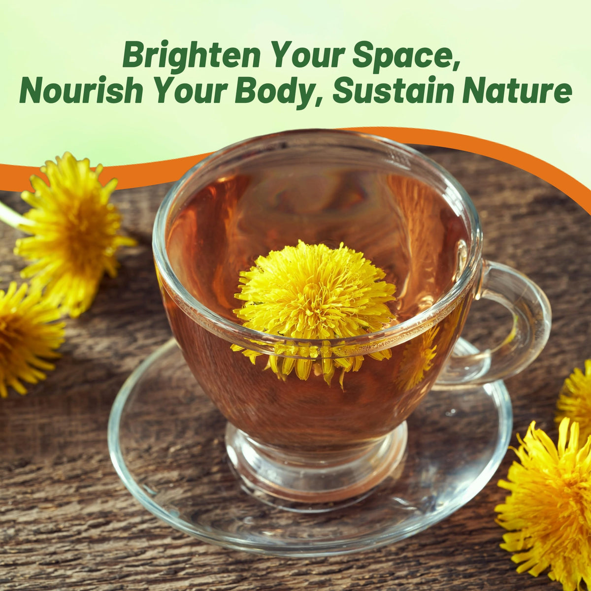 Outsidepride dandelion seeds attract pollinators and support garden health.