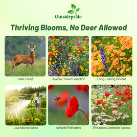 Outsidepride deer-proof mix is drought-tolerant for low-water garden color.