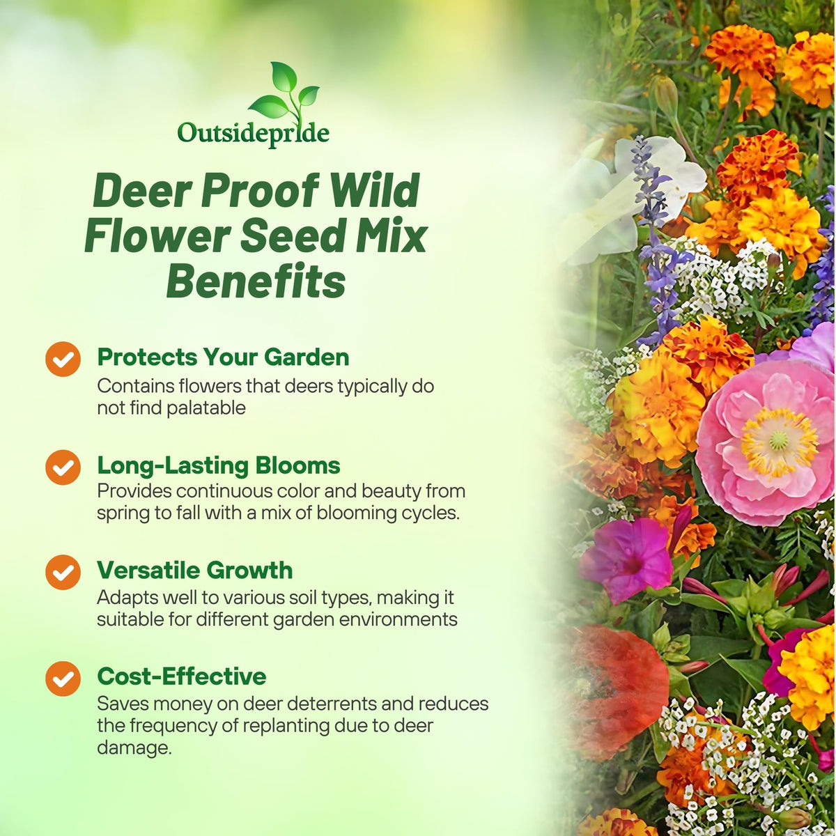 Outsidepride deer-proof mix thrives in partial shade for vibrant borders.