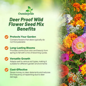 Outsidepride deer-proof mix thrives in partial shade for vibrant borders.