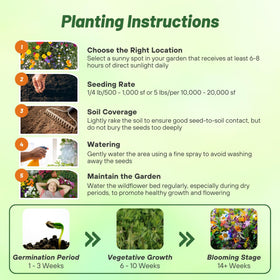 Outsidepride wildflower mix includes perennials and annuals for lasting color.