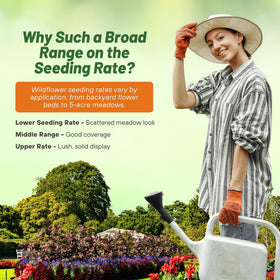Outsidepride pollinator-friendly blend supports butterflies and bees in your yard.