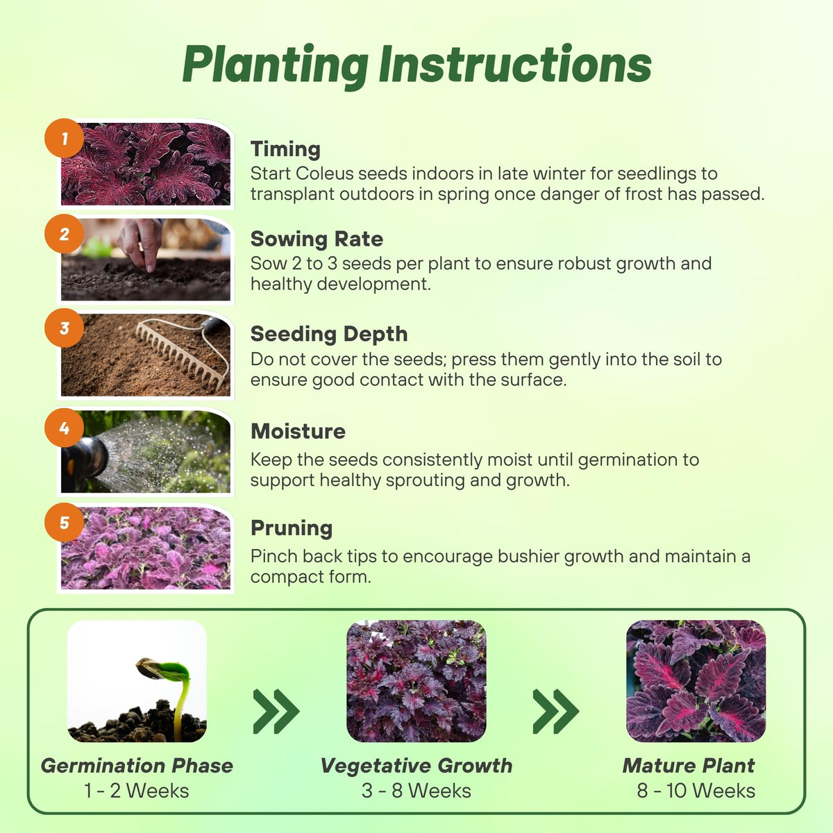 Outsidepride deer-resistant foliage supports low-maintenance outdoor beds