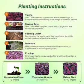 Outsidepride deer-resistant foliage supports low-maintenance outdoor beds