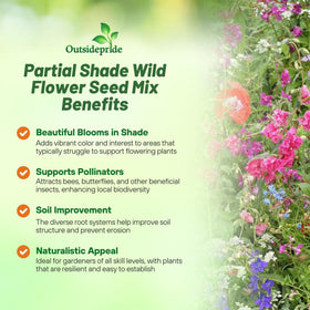 Outsidepride dense meadow wildflowers create robust year-round color.