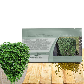 Outsidepride Dichondra Emerald Falls seed pack ready for sowing, ideal lawn alternative.