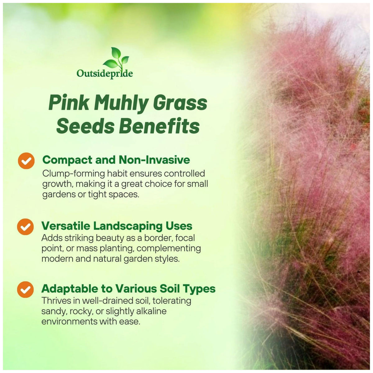 Outsidepride drought-tolerant-grass-seed-bed thrives with minimal irrigation in dry climates.