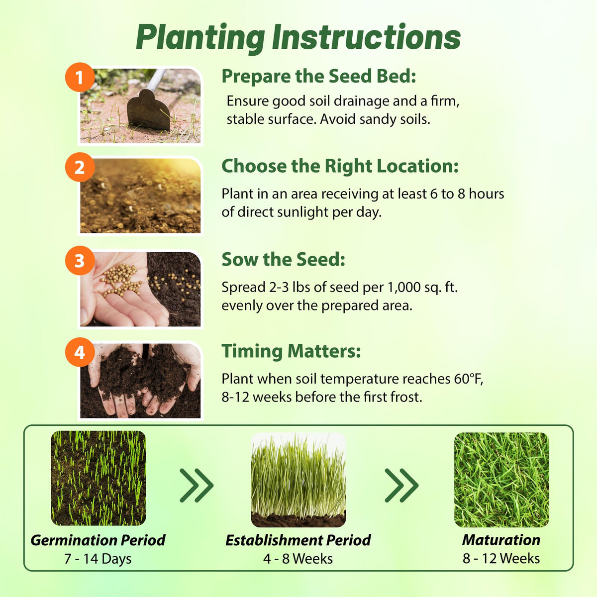 Outsidepride drought-tolerant grass seed demonstrates resilience in hot conditions.