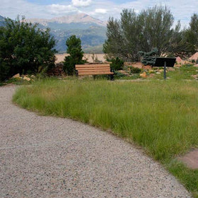 Outsidepride Drought-tolerant mix ideal for hot, sandy sites.