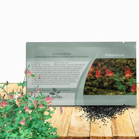 Outsidepride Eastern Red Columbine seeds for 1000-pack ideal for borders and recurring bloom.