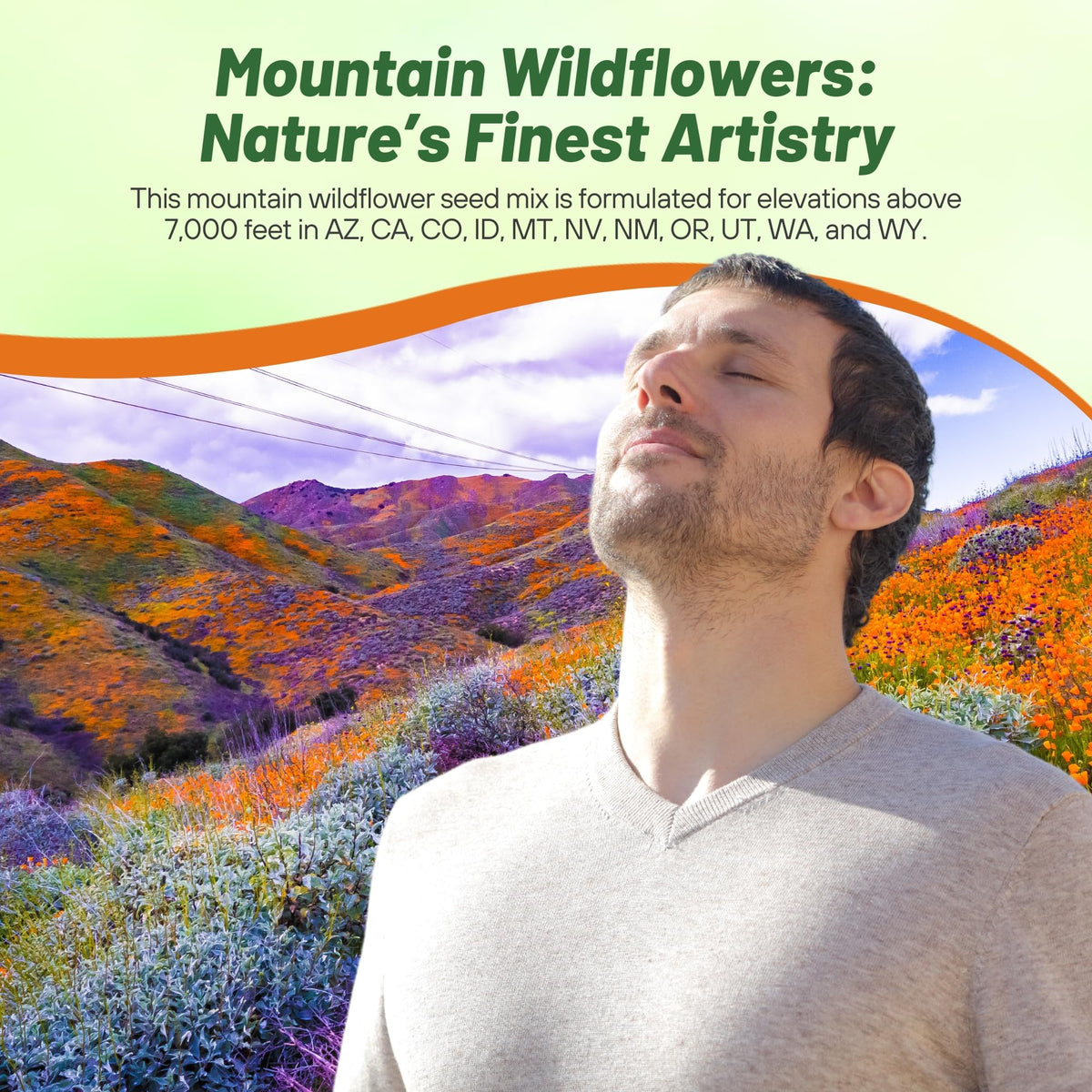 Outsidepride-easy-care-wildflower-bed offers low-maintenance color year-round.