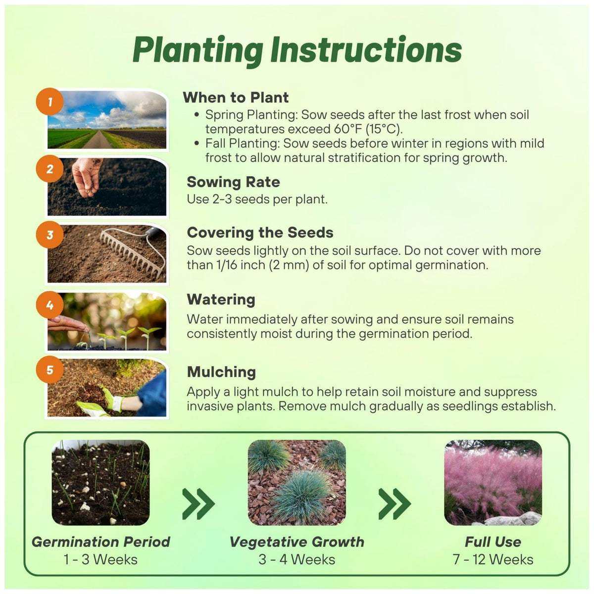 Outsidepride easy-planting-seed-guide enables quick establishment and uniform spacing.