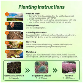 Outsidepride easy-planting-seed-guide enables quick establishment and uniform spacing.