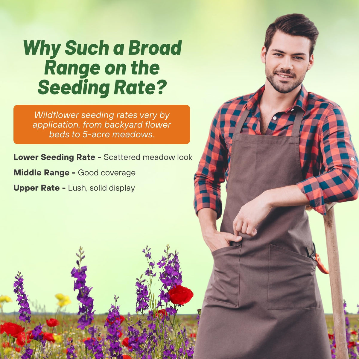 Outsidepride easy-planting wildflower seeds for shade simplify garden setup.