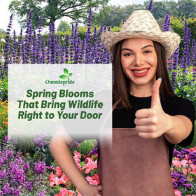 Outsidepride easy-to-sow seeds simplify starting a pollinator garden