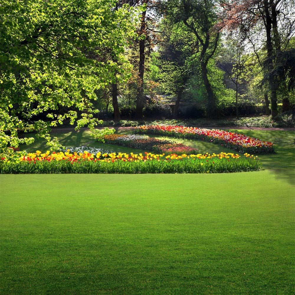 Soft texture suited for play areas without compromising lawn structure.