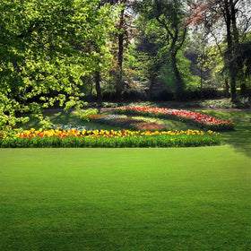 Soft texture suited for play areas without compromising lawn structure.