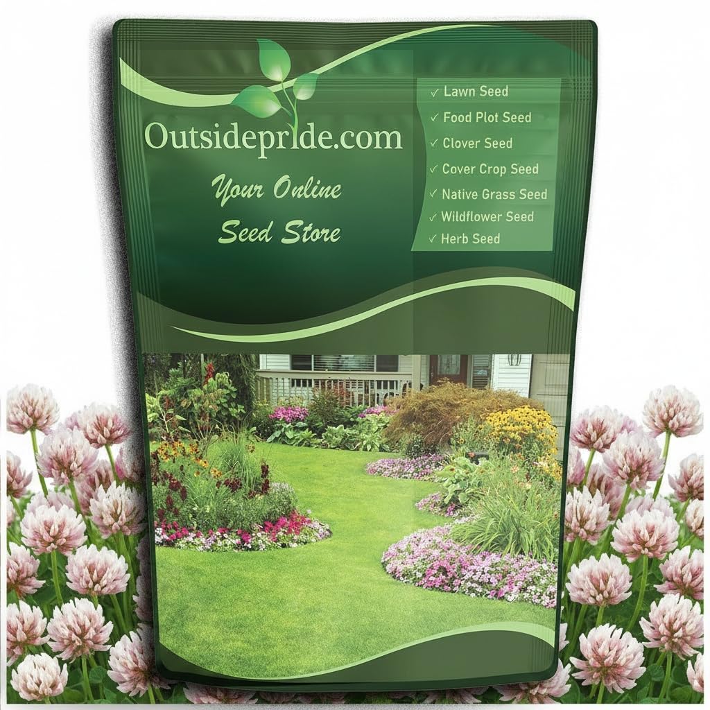 Outsidepride Fixation Balansa Clover seeds bag ready for planting, boosting soil fertility.