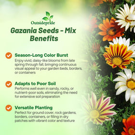 Outsidepride Gazania fall bloom adds color through cooler months in sunny beds.