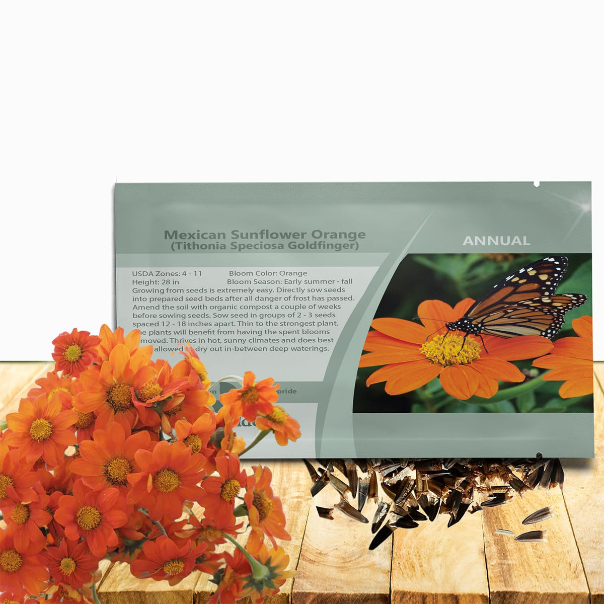 Outsidepride Goldfinger Mexican Sunflower bloom close-up for vibrant garden color and bold bouquet accents.