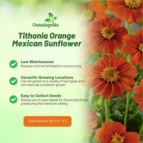 Outsidepride Goldfinger Mexican Sunflower pollinator-friendly image attracting butterflies and bees to the garden.