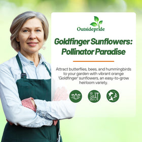 Outsidepride Goldfinger seeds direct sowing after frost for rapid summer blooms.