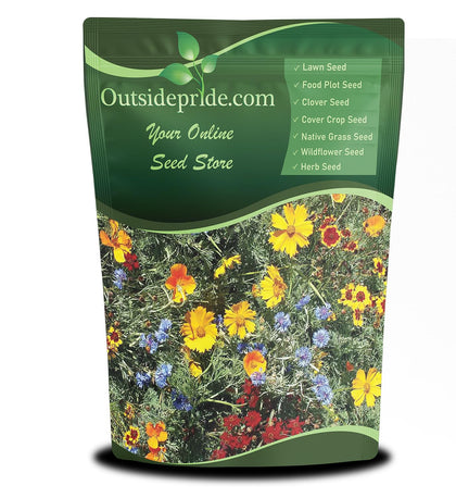 Outsidepride Gulf Coast wildflower seed mix bloom-closeup showing tall vibrant flowers.