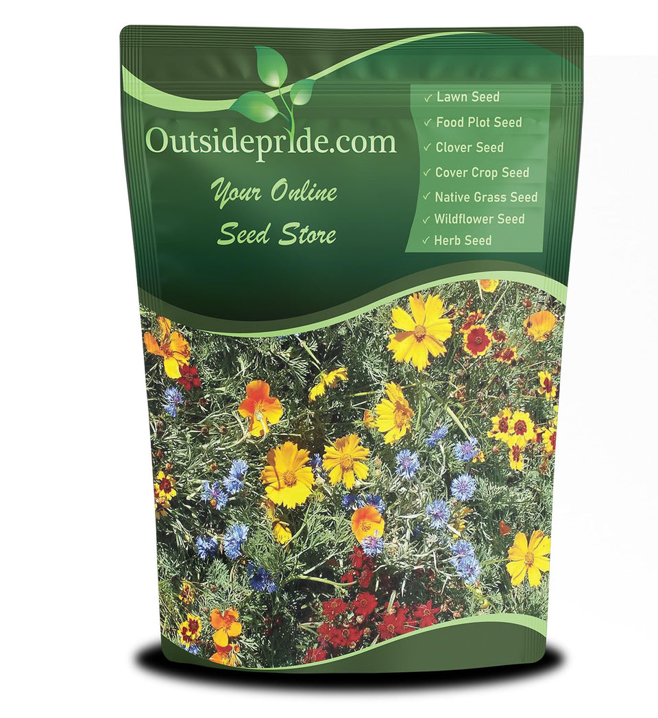 Outsidepride Gulf Coast wildflower seed mix bloom-closeup showing tall vibrant flowers.