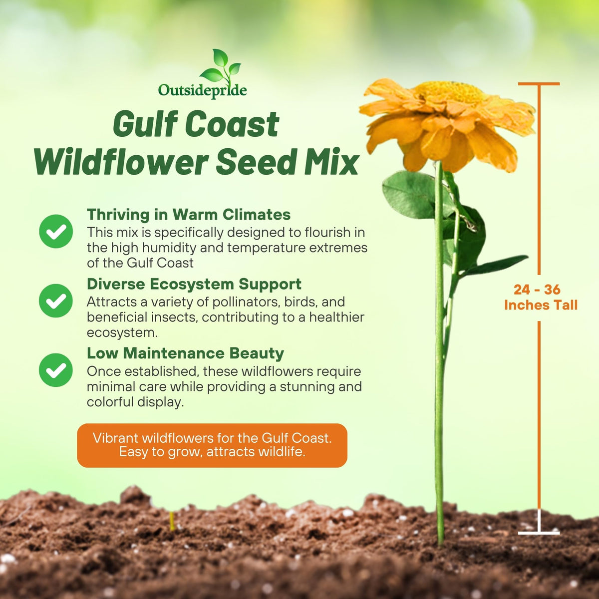 Outsidepride Gulf Coast wildflower seed mix border-bed view highlights tall, dense color.