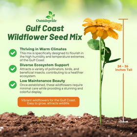 Outsidepride Gulf Coast wildflower seed mix border-bed view highlights tall, dense color.