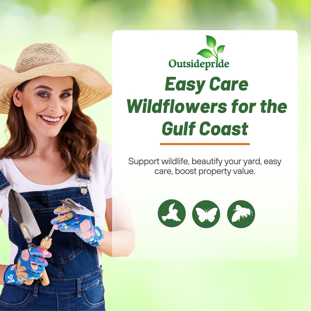Outsidepride Gulf Coast wildflower seed mix sun-shade-ready display with vibrant blooms.