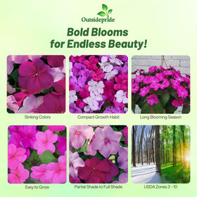Outsidepride Xtreme Sapphire Mix Impatiens blooms add color to containers and borders