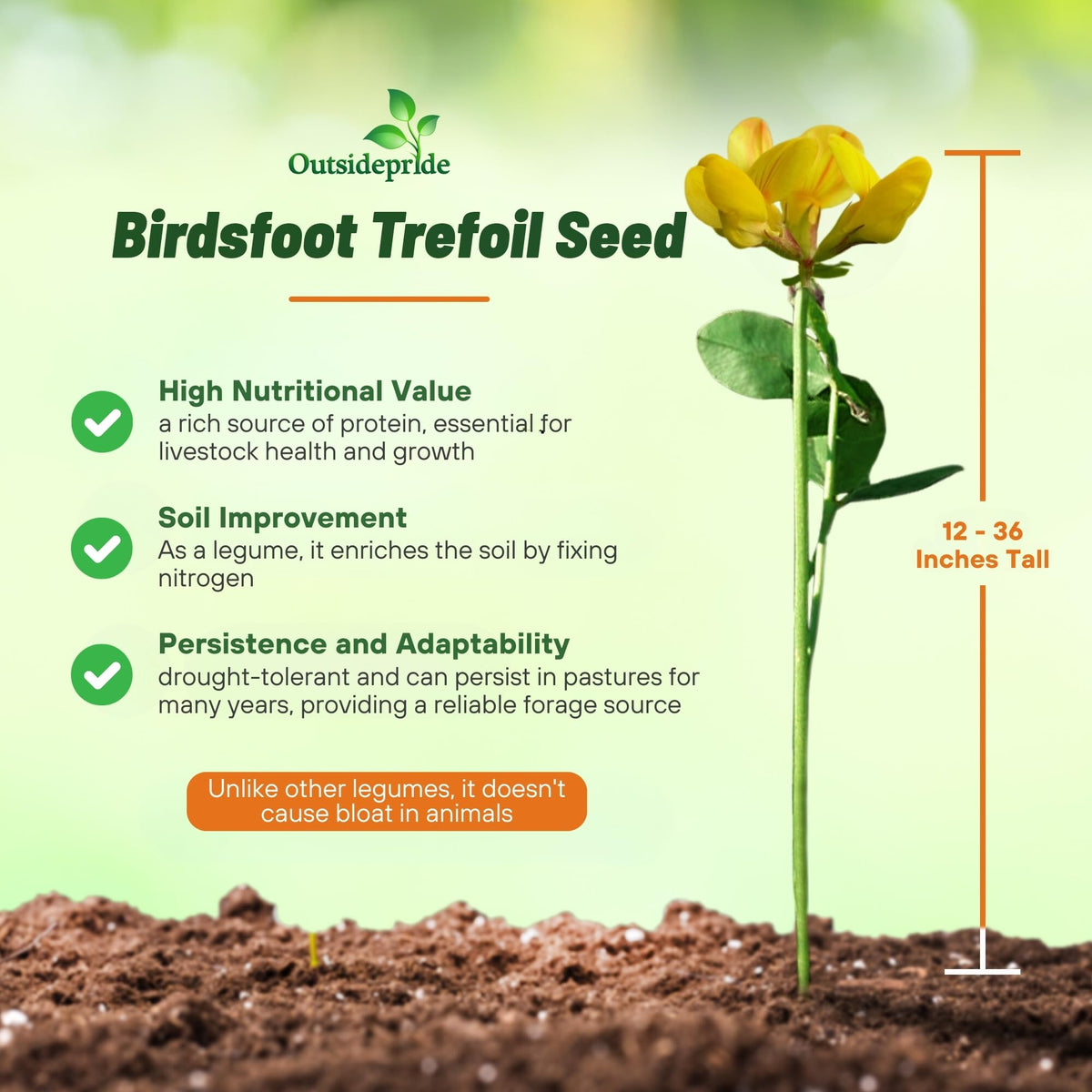 Outsidepride inoculated-seed-coating aids fast soil microbes and nodulation.