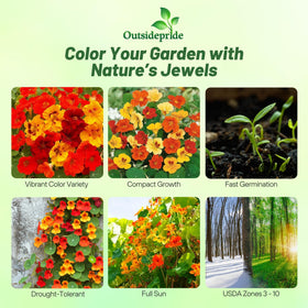 Outsidepride Jewel Mix nasturtium border planting shows compact mound and color.