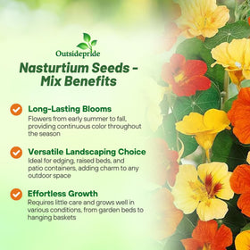 Outsidepride Jewel Mix nasturtium ground cover forming bright pathways in beds.