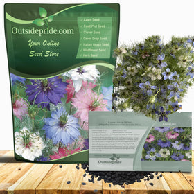 Outsidepride Jewels Mix Nigella blooms bring vibrant color to borders and patio pots