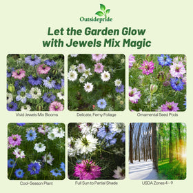 Outsidepride Jewels Mix Nigella foliage adds airy, lacy texture to garden beds