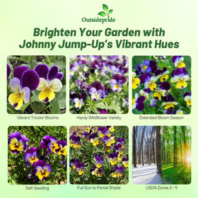 Viola border plants in a container display with Outsidepride Johnny Jump Up seeds