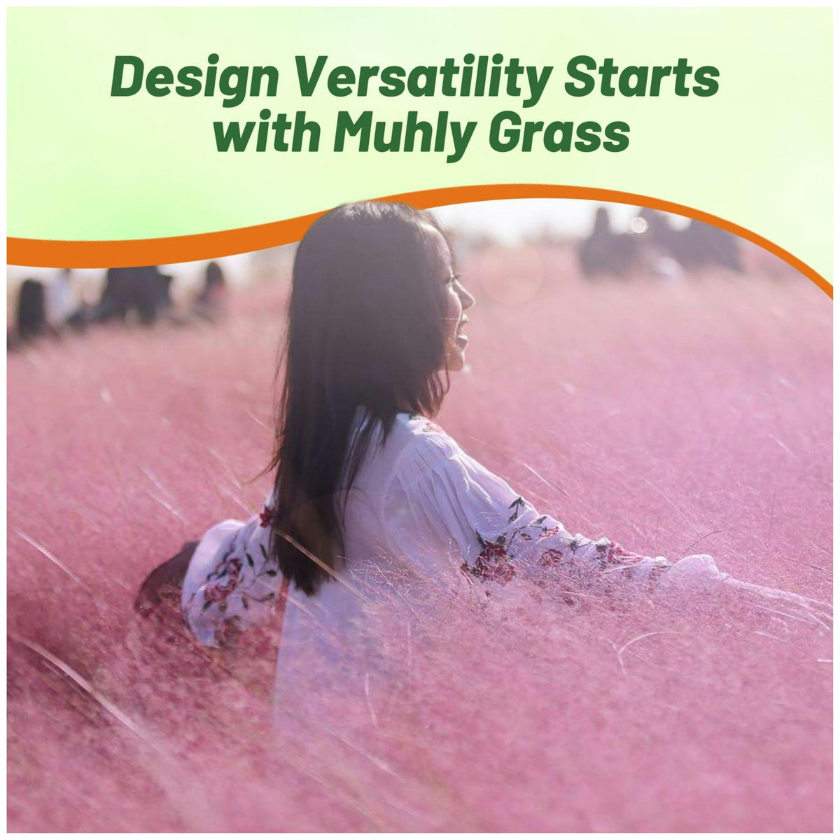 Outsidepride border-and-screen-grass ideal for creating defined edges and privacy.