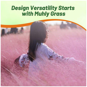 Outsidepride border-and-screen-grass ideal for creating defined edges and privacy.