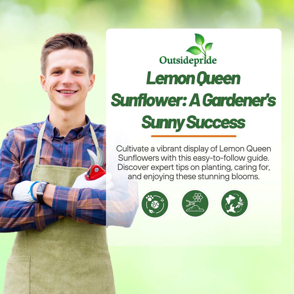 Outsidepride Lemon Queen attracts bees and butterflies in a pollinator-friendly scene