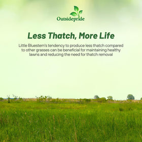 Outsidepride Little Bluestem dense ground cover supports erosion control