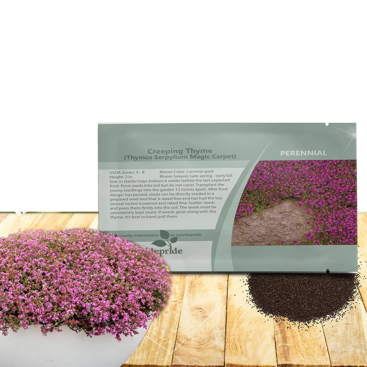Outsidepride Magic Carpet Creeping Thyme seeds bag for easy planting