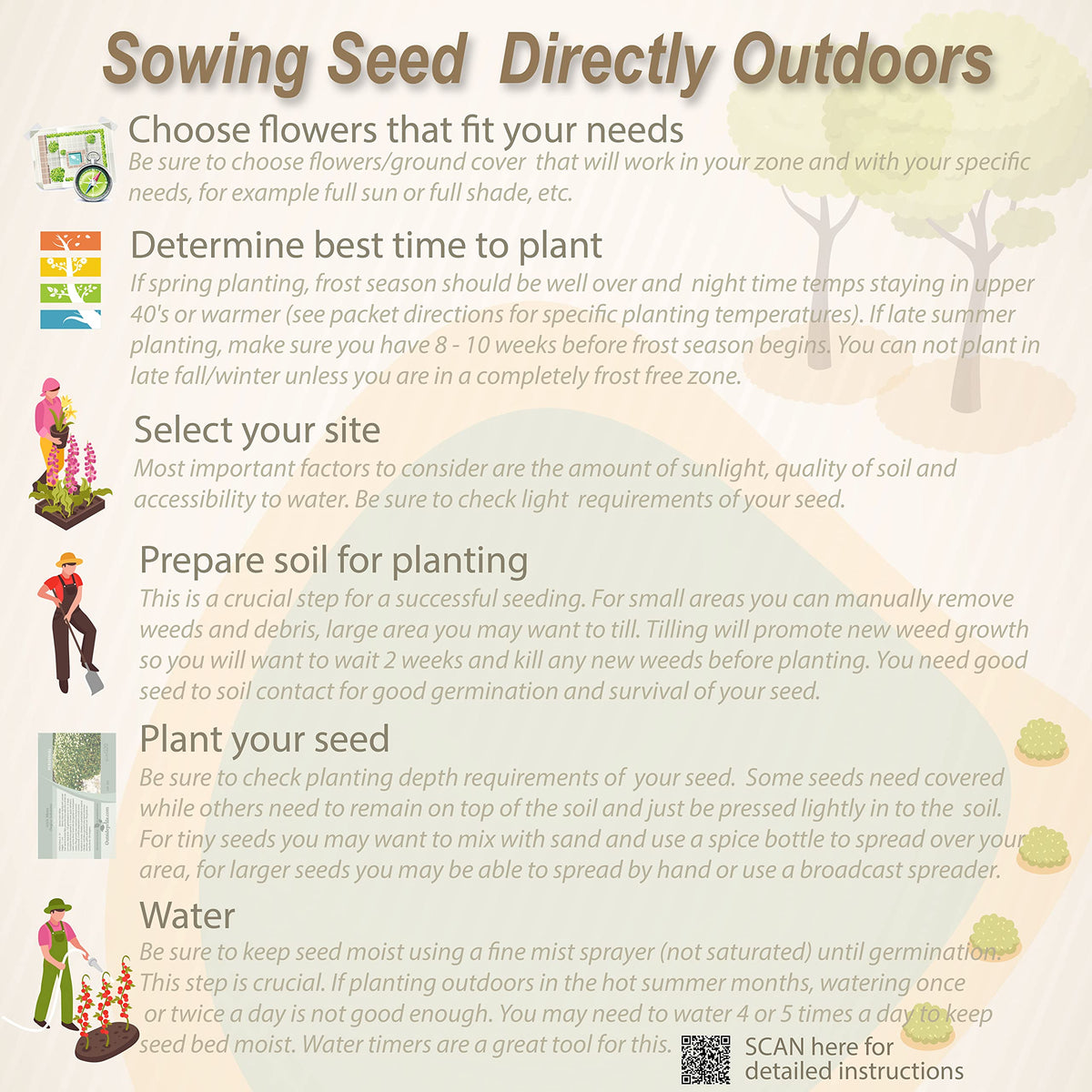 Outsidepride Magic Carpet sowing rate 1/8 lb per 5000 sq ft