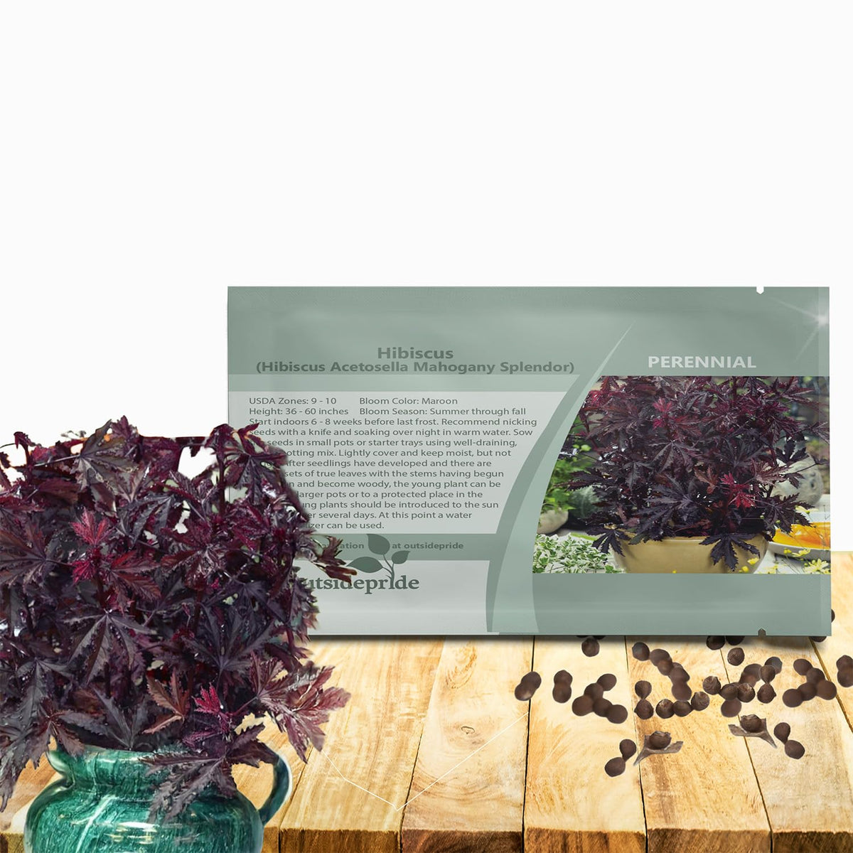 Outsidepride Mahogany Splendor Hibiscus seeds pack ready for sunny garden beds