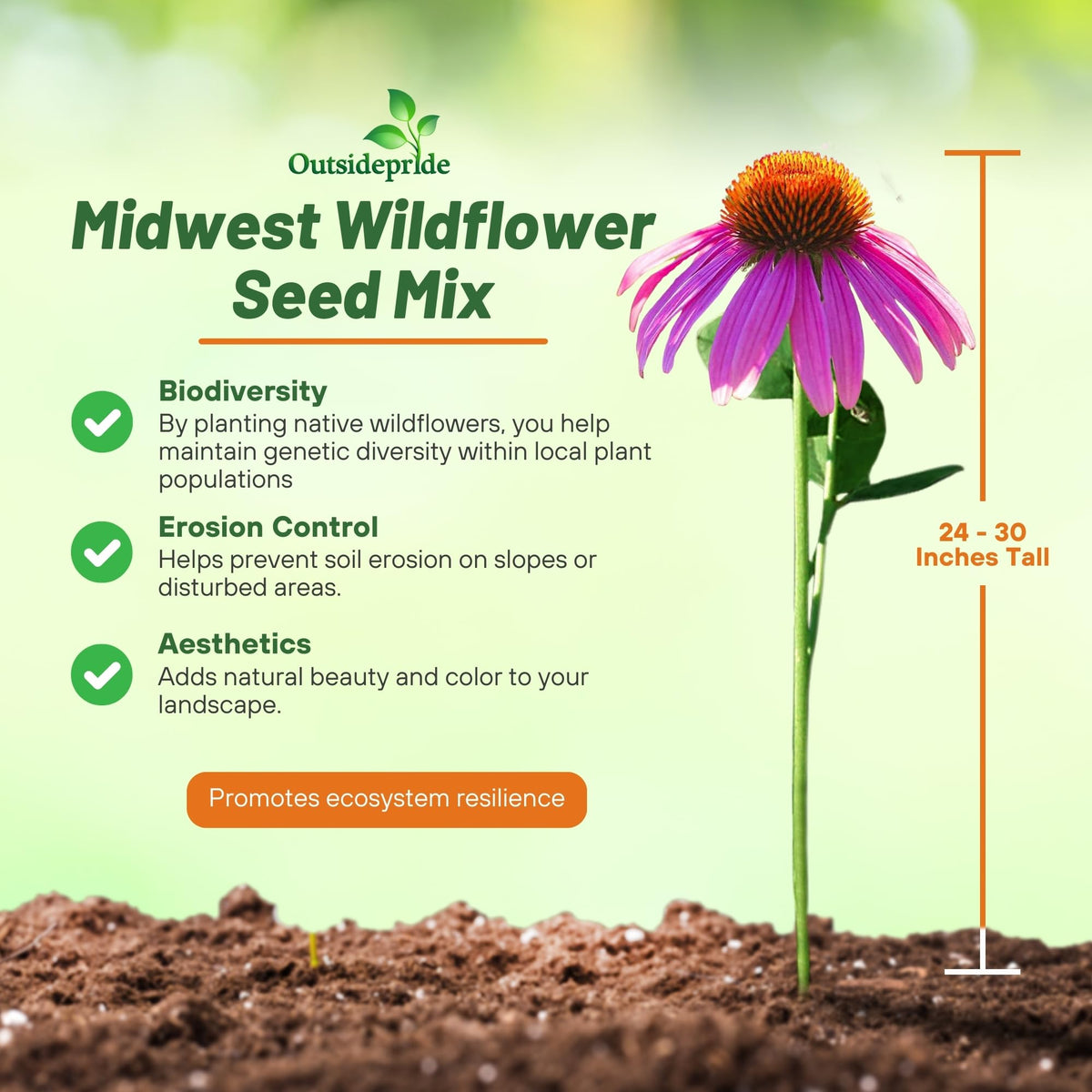 Outsidepride Midwest Wildflower Seed Mix ready for broadcast sowing with quick color.