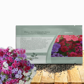 Outsidepride Mix Phlox Seeds display vibrant bloom colors for stunning garden borders.