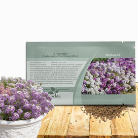 Outsidepride mixed alyssum seeds packet ready for easy sowing in beds.