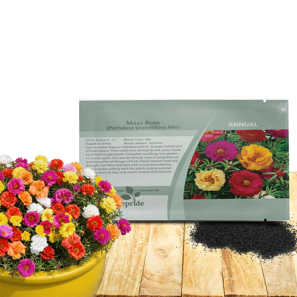 Outsidepride moss rose seeds form a dense carpet for sunny spaces.
