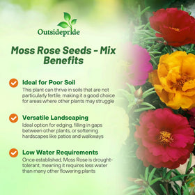 Outsidepride moss rose seeds thrive in hot sun with little water.